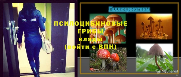 хмурый Нягань