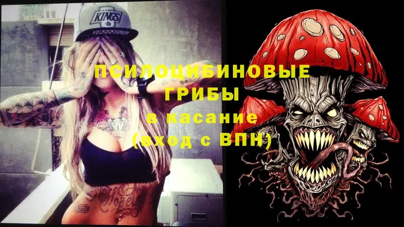 магазин продажи   Уяр  KRAKEN   Галлюциногенные грибы Psilocybine cubensis 